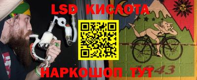 ешки Кингисепп