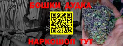 ешки Кингисепп