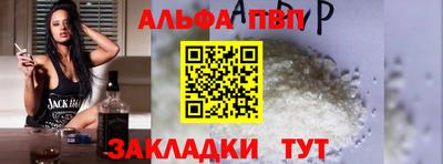 ешки Кингисепп