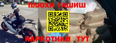 ешки Кингисепп