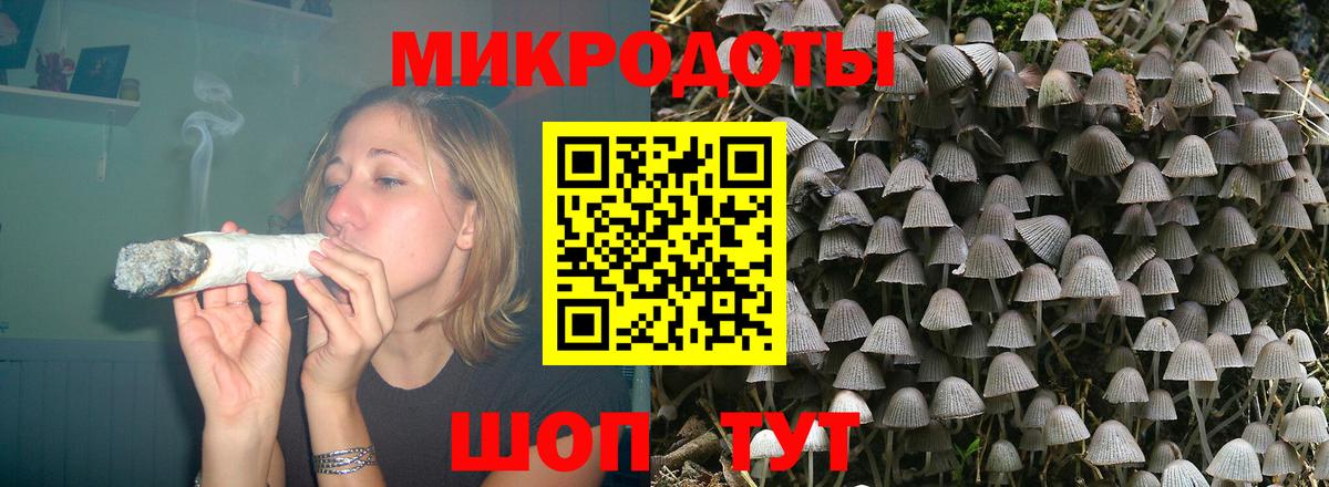 Котельники  Галлюциногенные грибы прущие грибы  Вход с VPN 