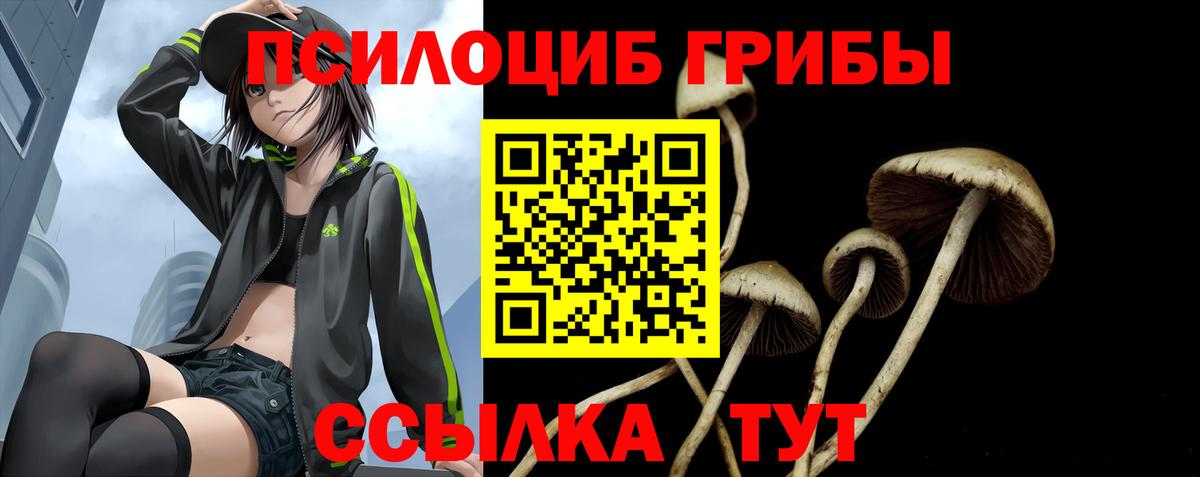 Псилоцибиновые грибы Psilocybe Котельники
